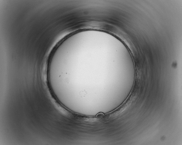 X0000102511131200808221811