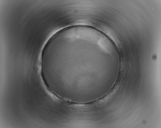X0000102511132200808221811