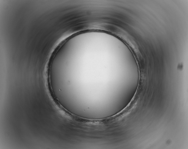 X0000102511133200808221811
