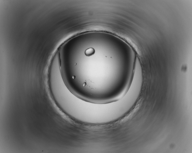 X0000102511134200808221811