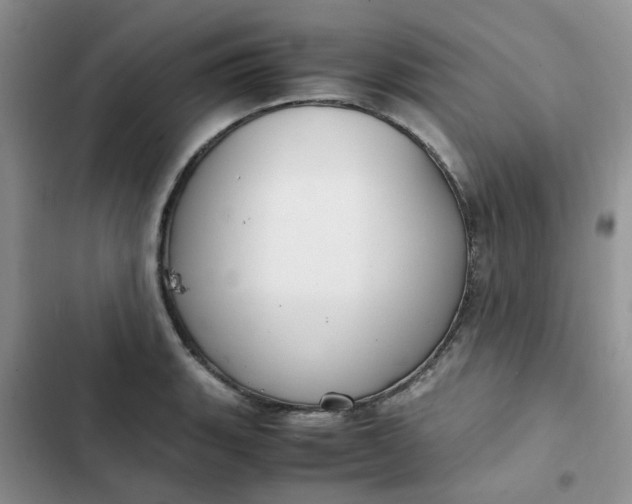 X0000102511135200808221811