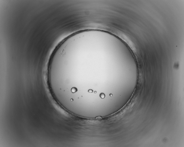 X0000102511136200808221811