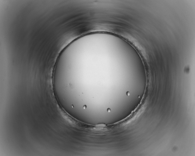 X0000102511137200808221811