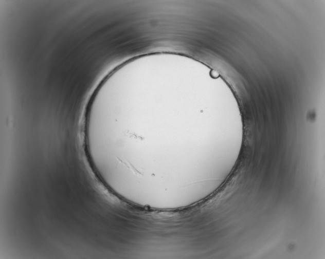 X0000102511140200808221811