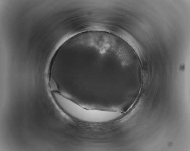 X0000102511141200808221811
