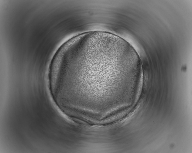 X0000102511142200808221811