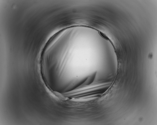 X0000102511143200808221811