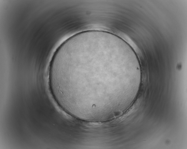 X0000102511144200808221811
