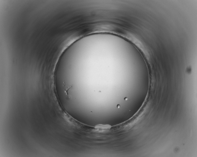 X0000102511145200808221811