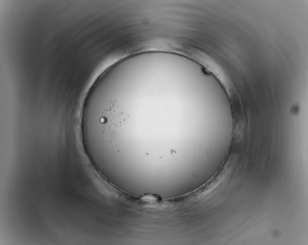 X0000102511146200808221811