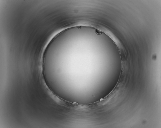 X0000102511148200808221811