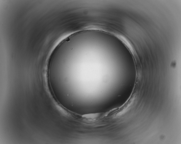 X0000102511149200808221811