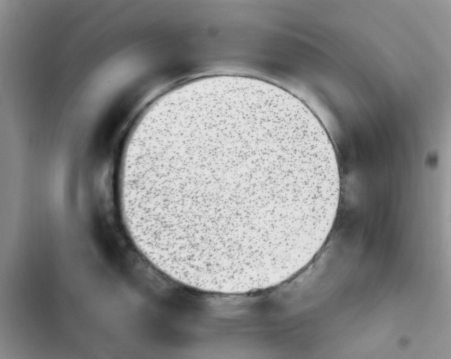 X0000102511150200808221811