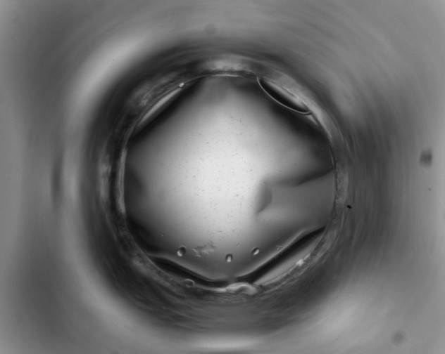 X0000102511151200808221812