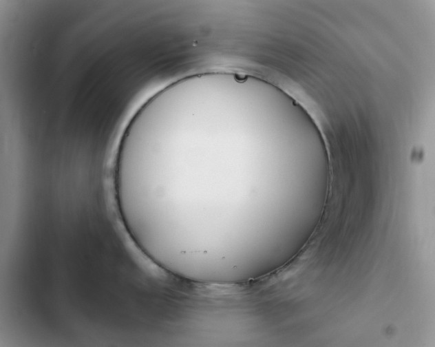 X0000102511152200808221812