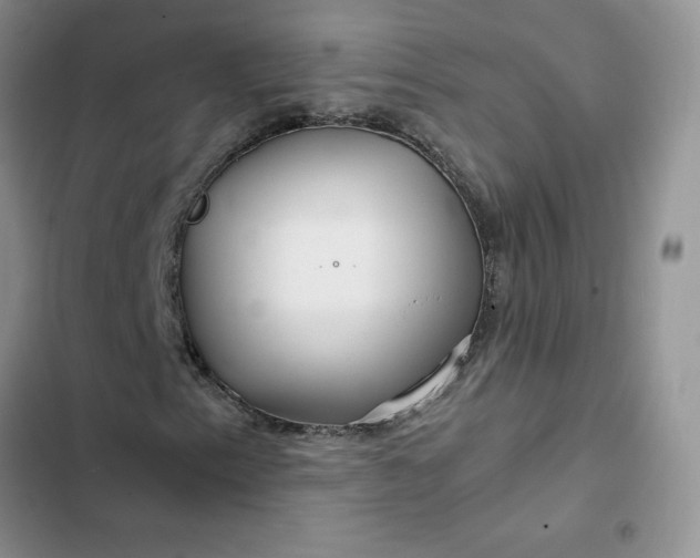 X0000102511153200808221811