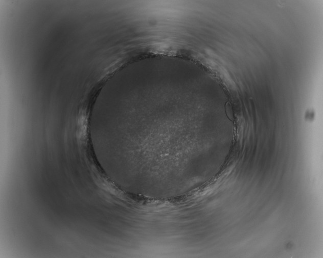 X0000102511154200808221811