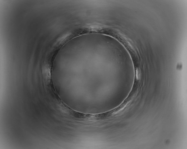 X0000102511155200808221811