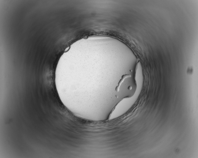 X0000102511156200808221811