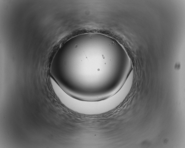 X0000102511157200808221811