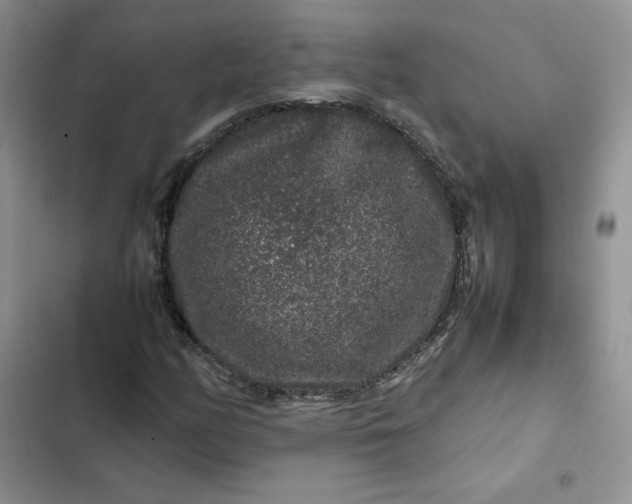 X0000102511158200808221811