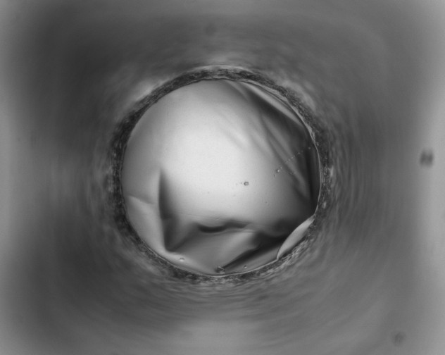 X0000102511159200808221811