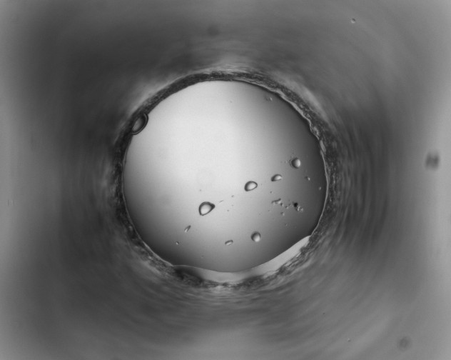 X0000102511160200808221811