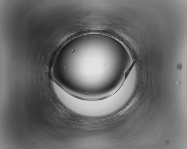X0000102511161200808221811