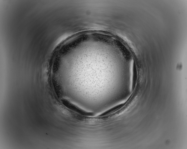 X0000102511163200808221810