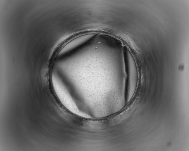 X0000102511164200808221810