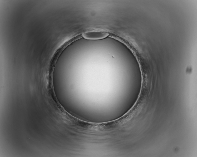 X0000102511165200808221810