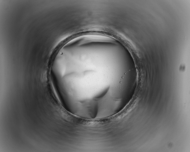 X0000102511166200808221810