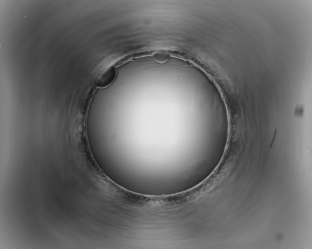 X0000102511169200808221810