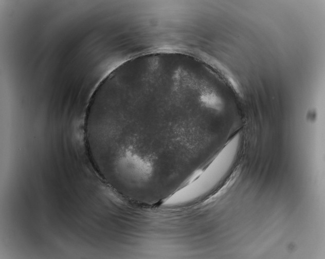 X0000102511170200808221810