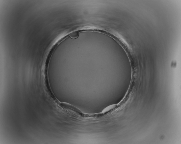 X0000102511173200808221810