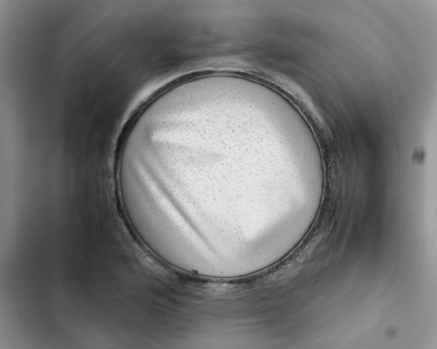 X0000102511176200808221810
