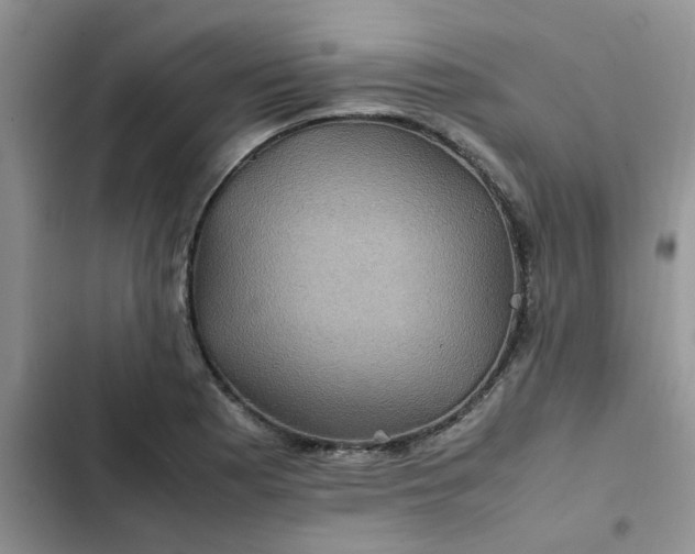 X0000102511177200808221810