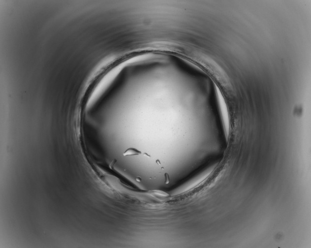 X0000102511180200808221810