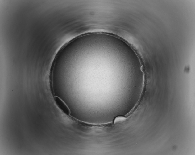X0000102511181200808221810