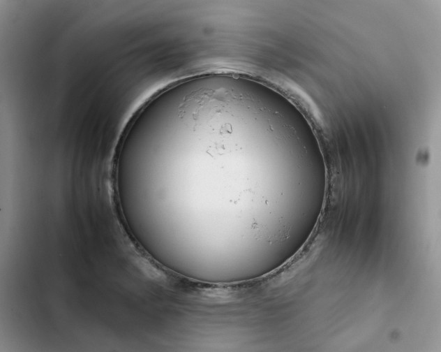 X0000102511182200808221810