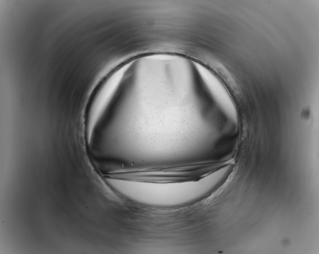 X0000102511184200808221810