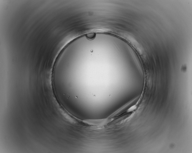 X0000102511186200808221810