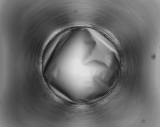 X0000102511188200808221810