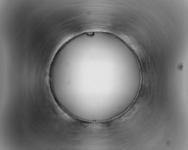 X0000102511189200808221810