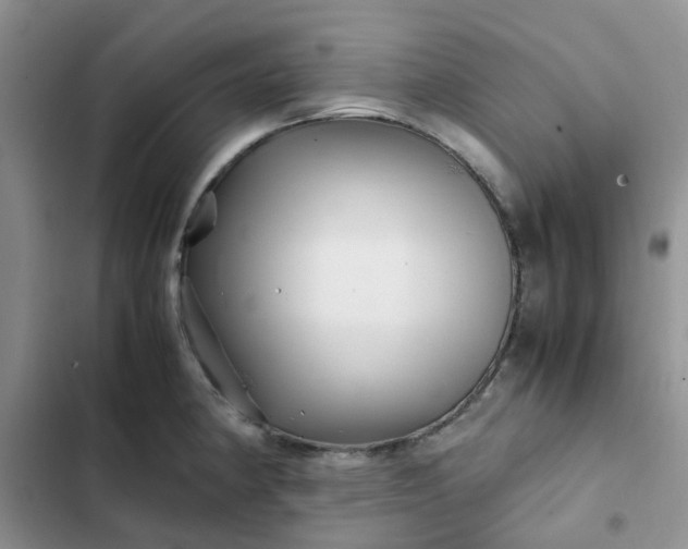 X0000102511190200808221810