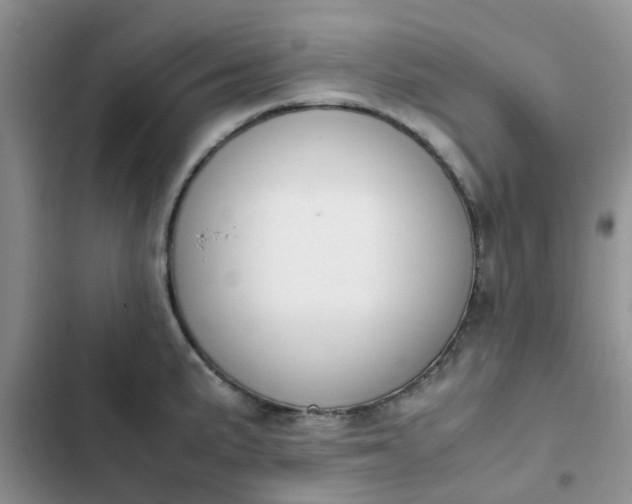 X0000102511191200808221810