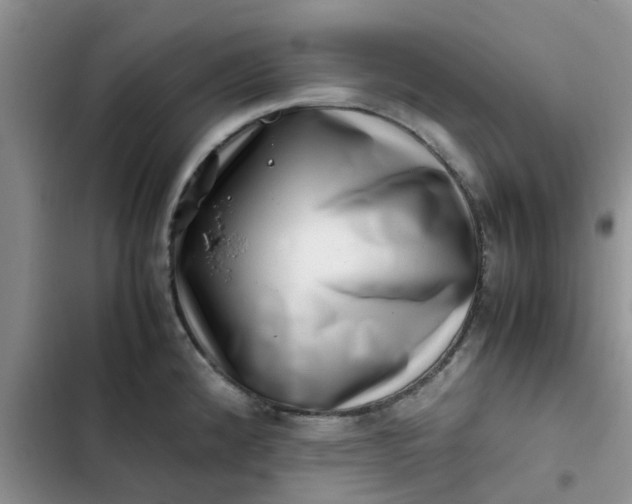 X0000102511192200808221810