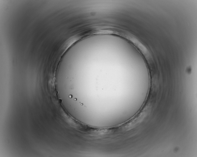 X0000102511193200808221810
