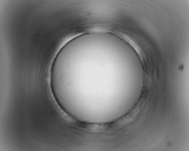 X0000102511195200808221810