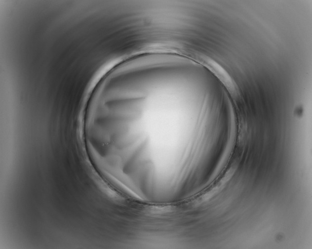 X0000102511196200808221810
